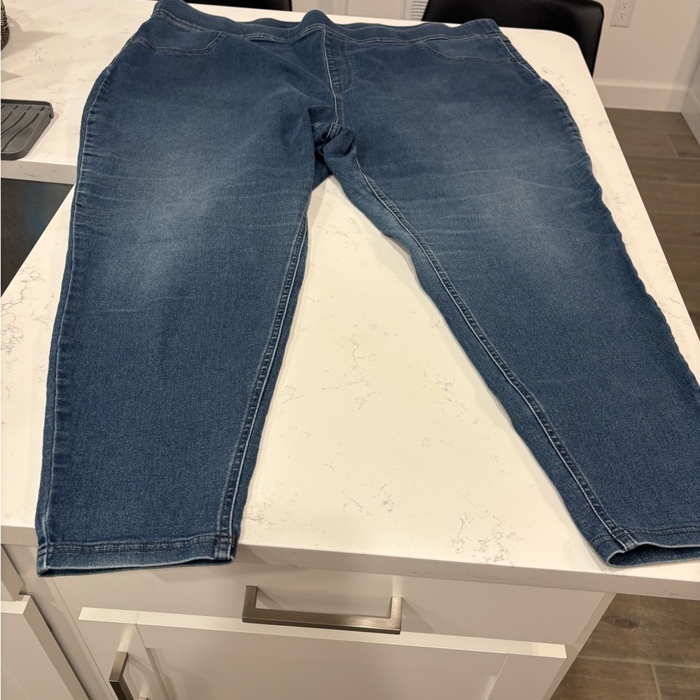 Terra & Sky Women's Skinny Blue Jeans